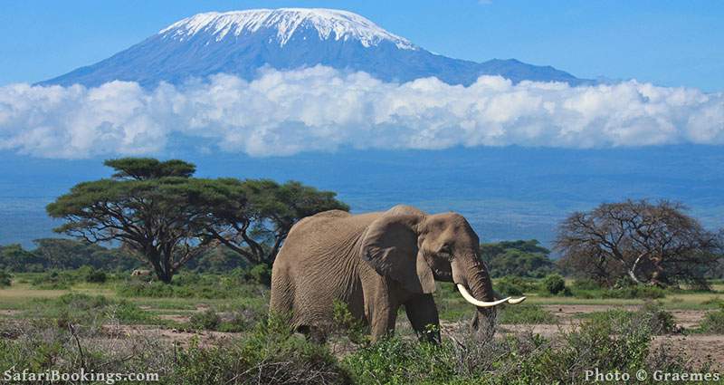 laikipia